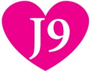 J9 Domestic Abuse training logo