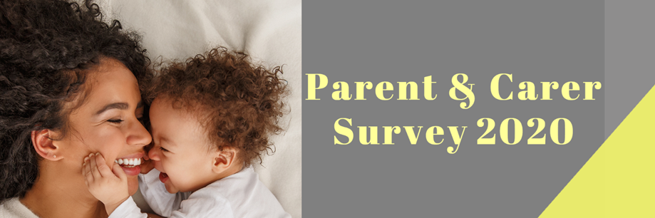 Parent & Carer Survey 2020