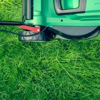 The Green Waste Club lawn mower grass