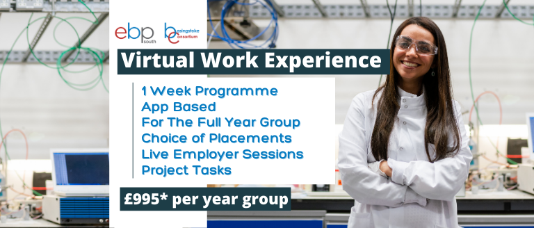 EBP South Virtual Work Experience