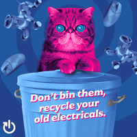 WEEE_Hypnocat_don't bin-recycle