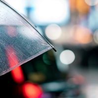 Community in Motion Umbrella 