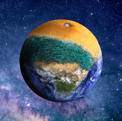 Food waste week 2022