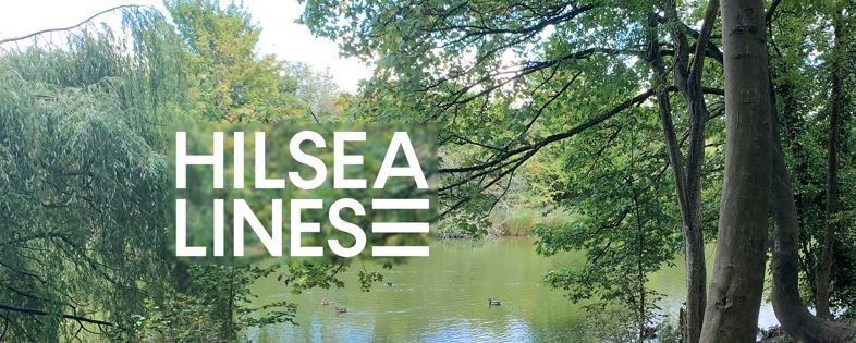 foxes forest image with hilsea lines logo