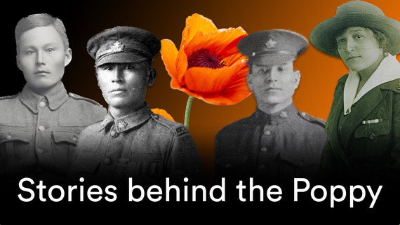 Stories behind the poppy