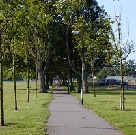 Bransbury Park pathway