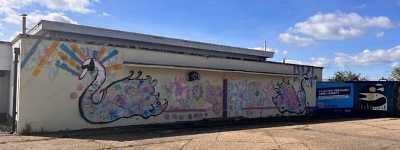 mural of two swans on the side of a building