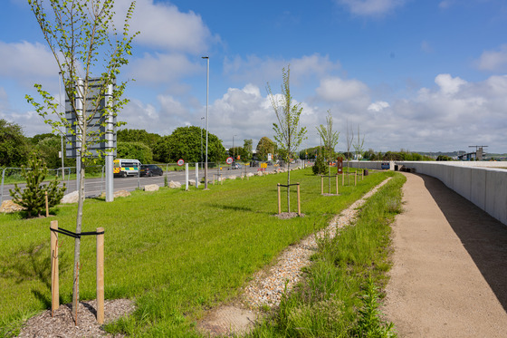 New path at Eastern Road