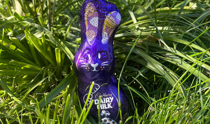 Chocolate rabbit in the grass