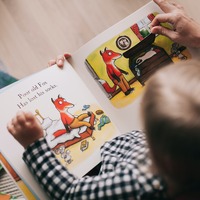 Looking down at the top of a toddler's head and a book he is looking at in his lap