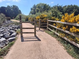 kendalls wharf