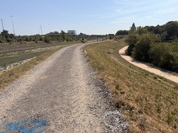 paths