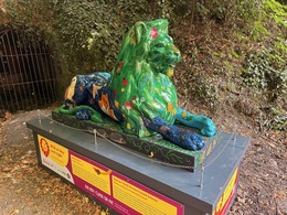 lion