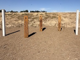 bee posts 
