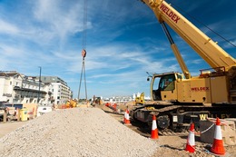 crane