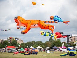 kite festival