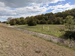 open field