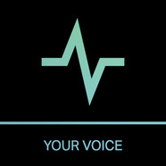your voice