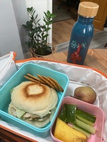 Waste free packed lunch