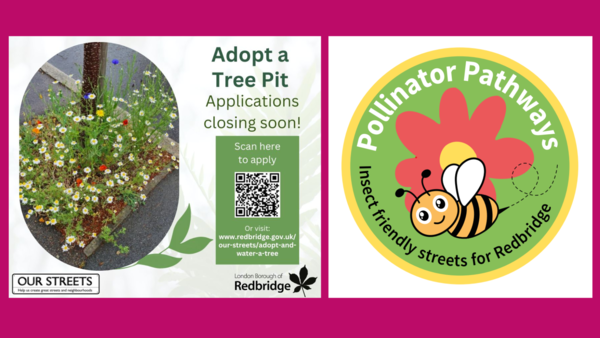 Image of tree pit poster and a bee with pollinator pathways heading