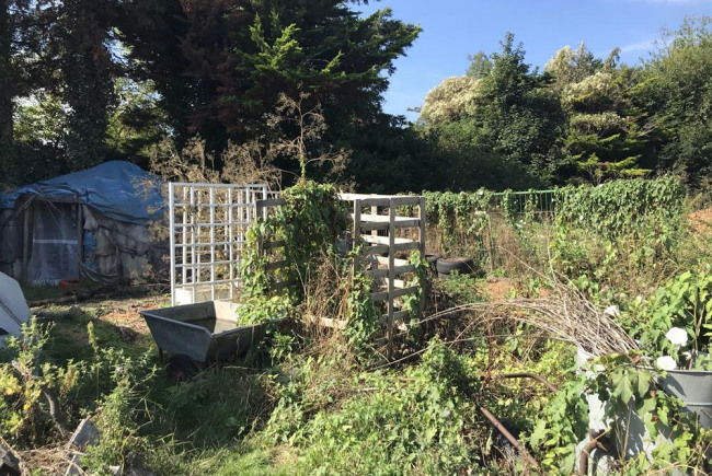 Image of garden