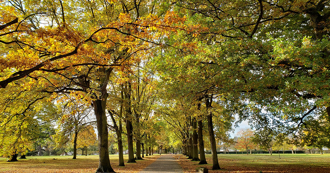 Valentines Park