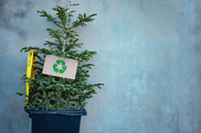 Christmas Waste and recycling 