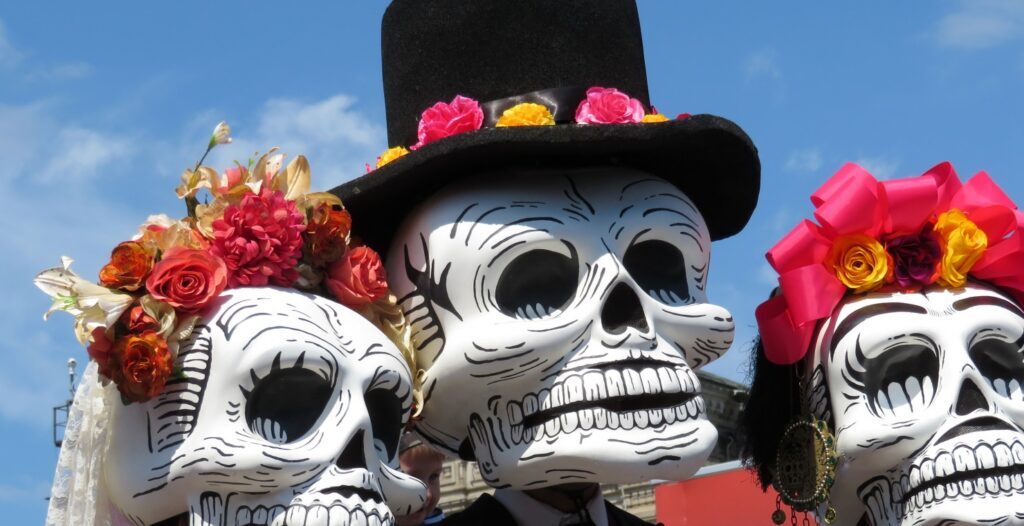Skull puppet faces