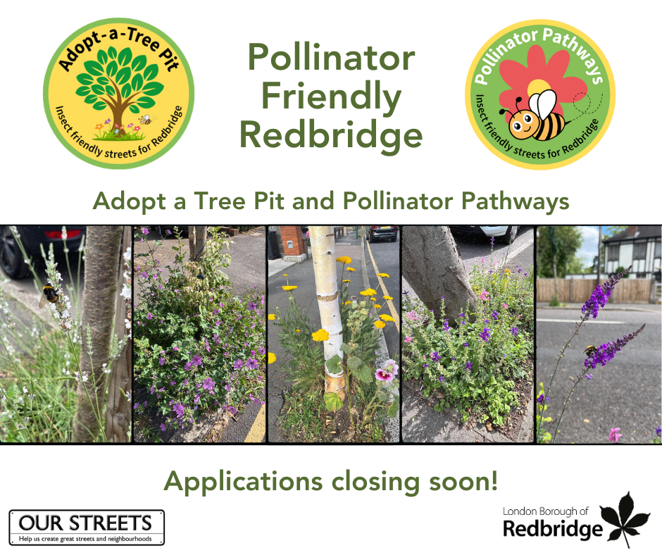 Images of wildflowers growing with text saying applications closing soon for adopt a tree pit and pollinator pathways