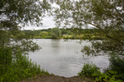 Hainault Forest