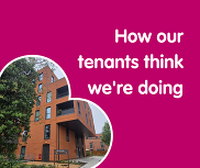 Graphic of image of residential building with the text 'How our tenants think we're doing'
