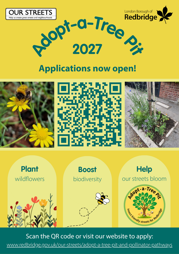 Our Streets Newsletter October 2026