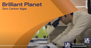 Brilliant Planet