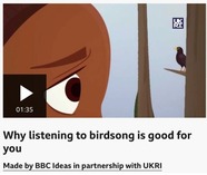 UKRI LinkedIn post image crop