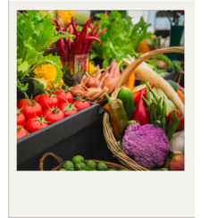 Vegetables at Rotherham Show