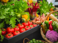 Vegetables at Rotherham Show
