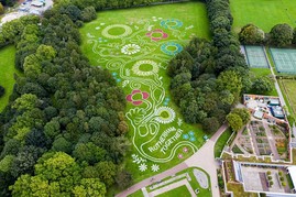 Wildflower Park photos from above, courtesy of Landmark Collective