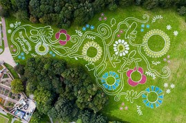 Wildflower Park photos from above, courtesy of Landmark Collective