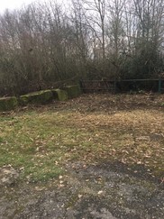 Queen Street Park Impact Day