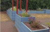 JADE garden, raised beds