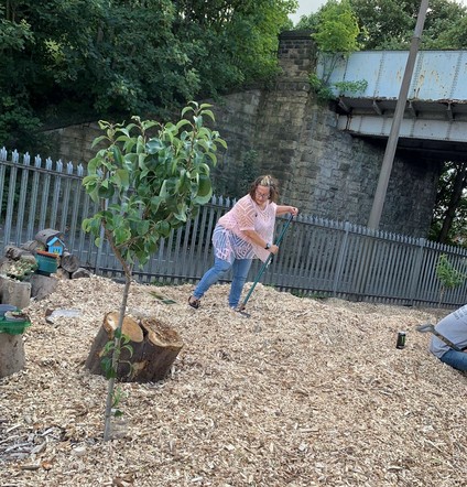 Image showing group in community garden 