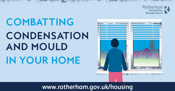 Condensation and mould