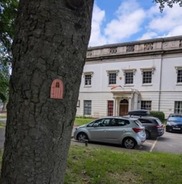 Tree with small fairy door in front of Wath Hall