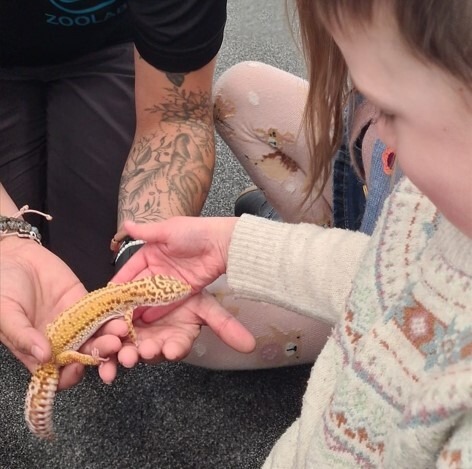 Boy handles gecko
