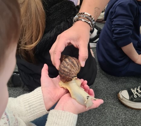 boy holding snail