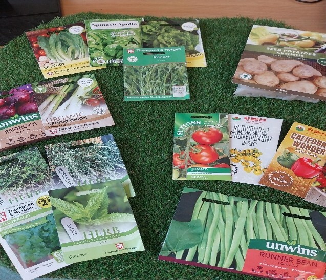 Maltby Stepping Stones Garden Project