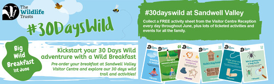 30 days wild at Sandwell Valley visitor centre