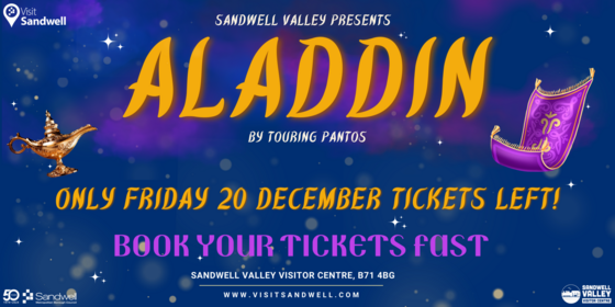 Aladdin - Christmas Pantomime 2024