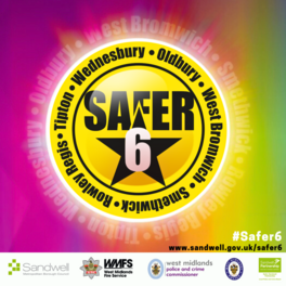 Safer 6 logo