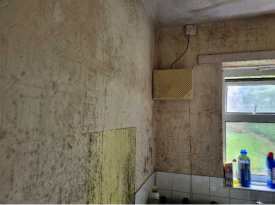 Introducing Awaab’s Law – New Rules for Safer, Healthier Homes